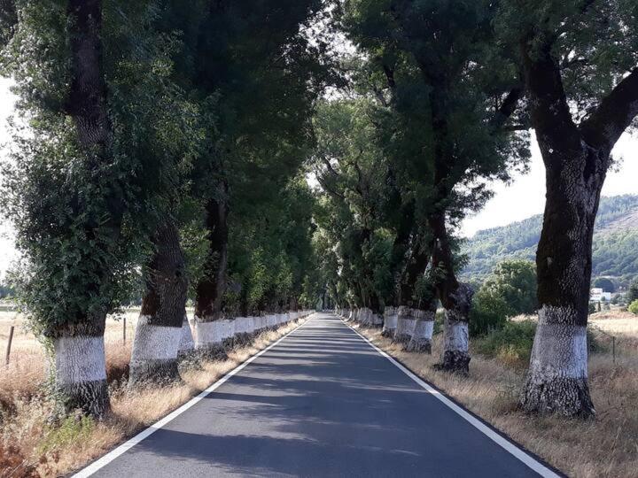 O Casulo Villa Marvão Exteriör bild